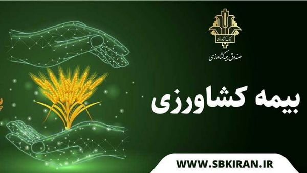اجرای بیمه فراگیر گندم به پایان رسید