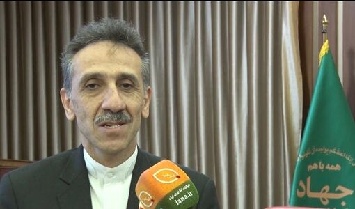 دیپلماسی ایران مانع سیاسی‌کاری در فائو شده است/ایران؛ فعال در دیپلماسی غذایی 