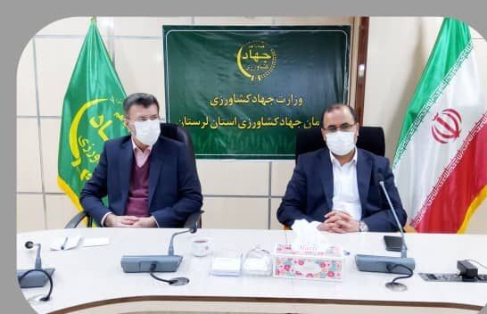 کشت ۱۷۶ هزار هکتار گندم در اجرای طرح جهش تولید در دیمزارهای  لرستان