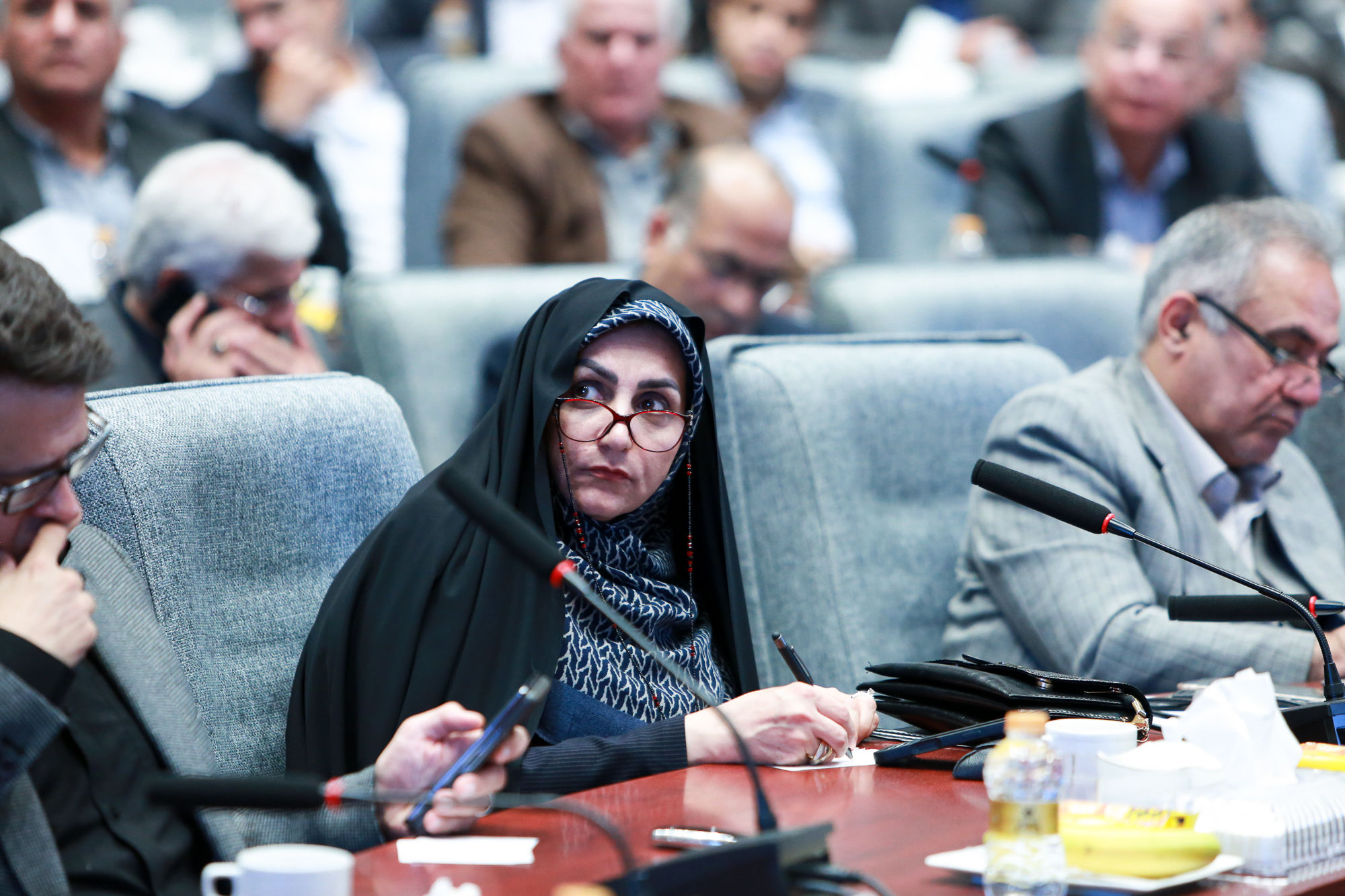  سفر وزیر جهاد کشاورزی به استان گلستان 1 