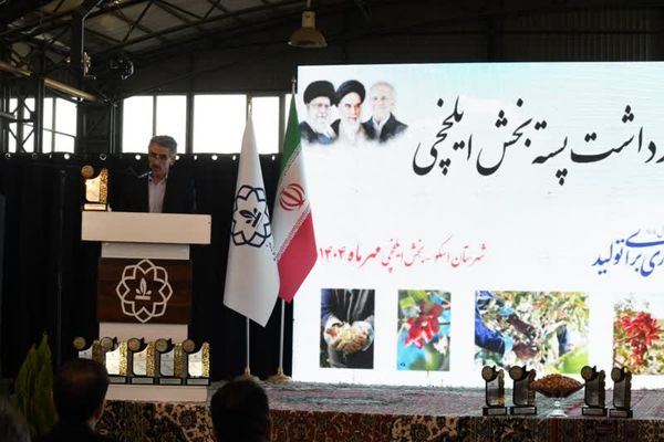 پسته، ستاره سبد صادرات غیرنفتی کشور است