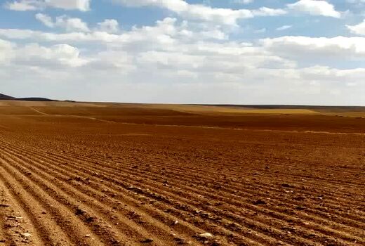 صدور اسناد تجمیعی برای ۱۱۸ قطعه از اراضی کشاورزی شهرستان آوج