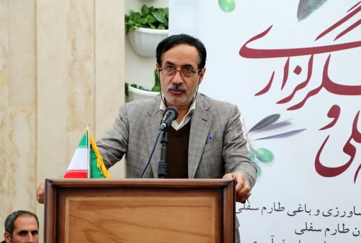 تشکل‌ها و سمن‌های زیتون در قزوین تقویت شوند