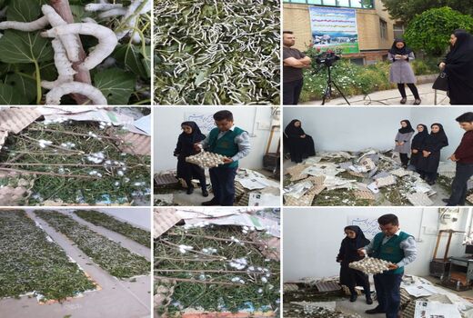 احیای نوغانداری در شهرستان کلیبر