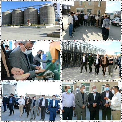 بازدید از شرکت تولید بذر مائده توسط سرپرست معاونت زراعت وزارت جهاد کشاورزی