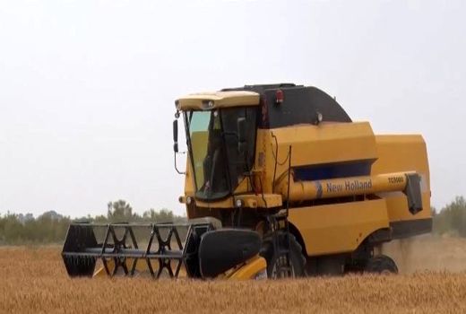 آغاز برداشت جو از مزارع اردستان