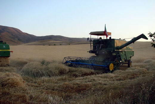 نظارت بر کمباین‌های فعال در جریان برداشت سال جاری در شهرستان اهر