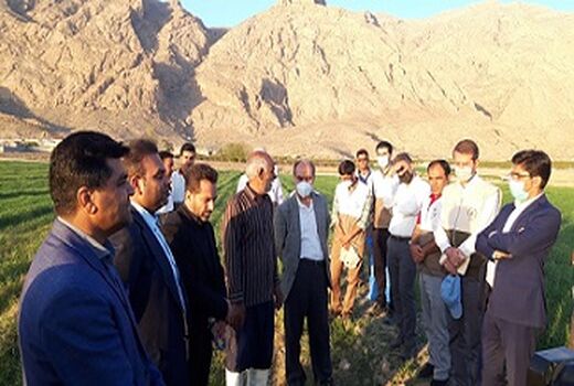 کانون بسیج جامعه کشاورزی مرودشت  نمونه ملی شد