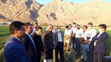 کانون بسیج جامعه کشاورزی مرودشت  نمونه ملی شد