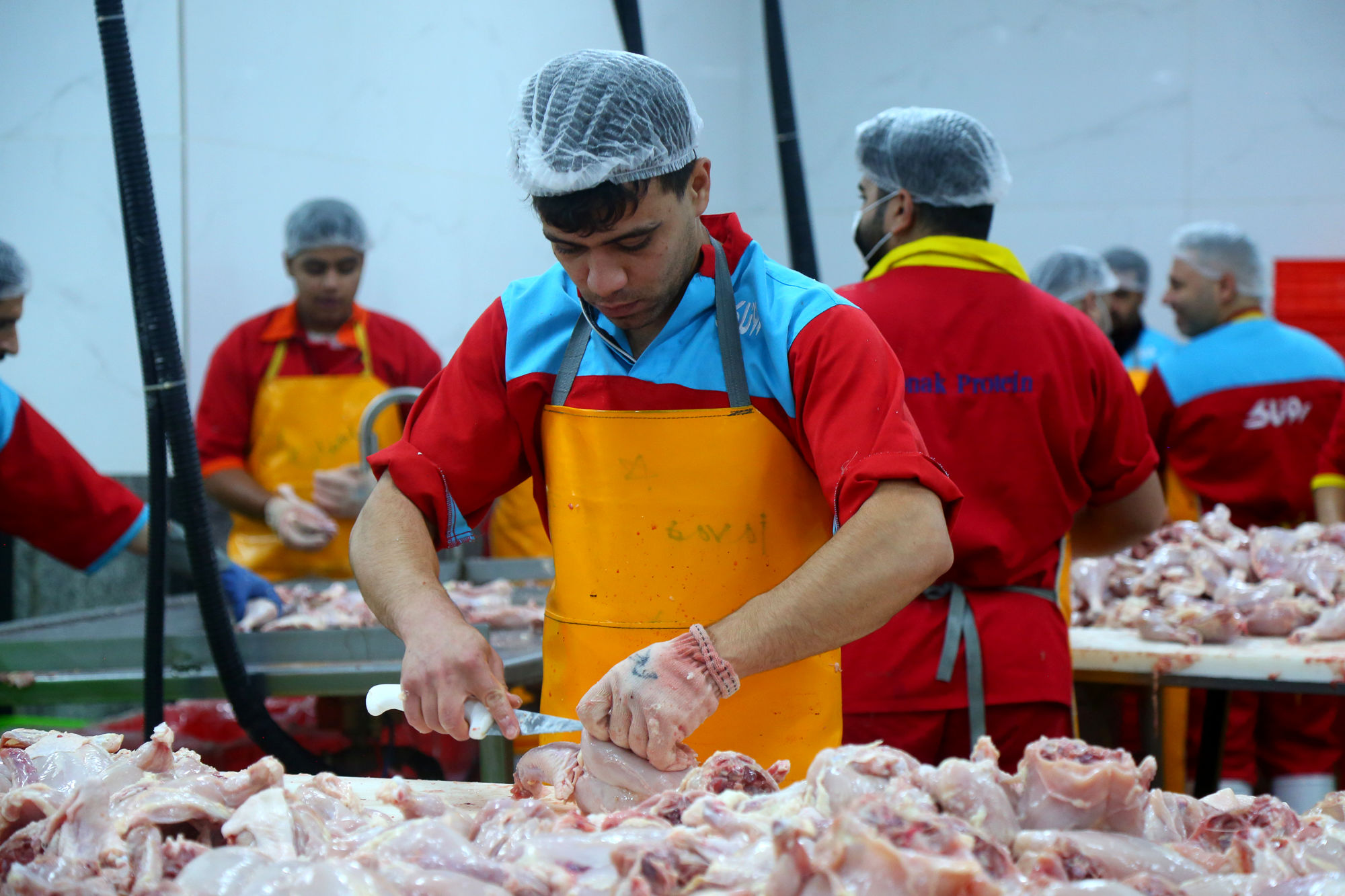 تور رسانه ای به مناسبت هفته دامپزشکی 