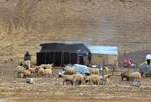 سوخت اختصاصی به عشایر خراسان شمالی کفاف این قشر از جامعه را نمی‌دهد