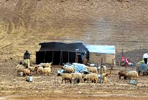 سوخت اختصاصی به عشایر خراسان شمالی کفاف این قشر از جامعه را نمی‌دهد