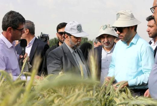 بازدید سرپرست وزارت جهاد کشاورزی از زیر مجموعه‌های تحقیقاتی سازمان تات