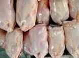 گوشت مرغ گرم مورد نیاز زنجان در ایام پایانی سال تأمین شده است