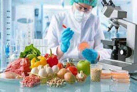 انتقال فناوری اسپانیایی به ایران برای ارتقای کیفیت محصولات غلات