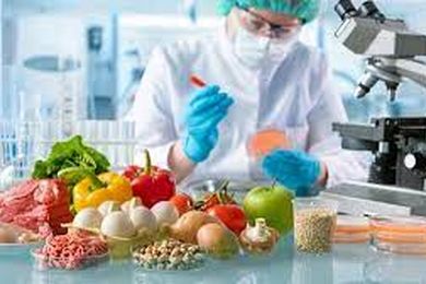 انتقال فناوری اسپانیایی به ایران برای ارتقای کیفیت محصولات غلات