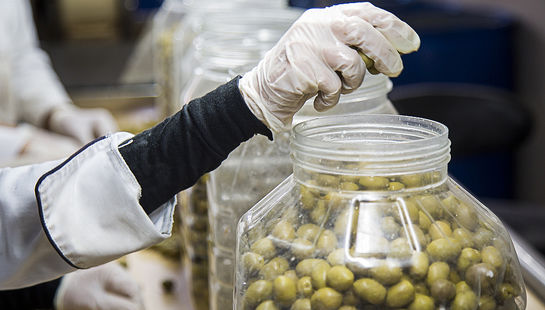  فرآوری و بسته بندی زیتون