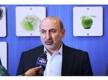 تولید 13 میلیون تن گندم در کشور/ خودکفایی در تولید گندم