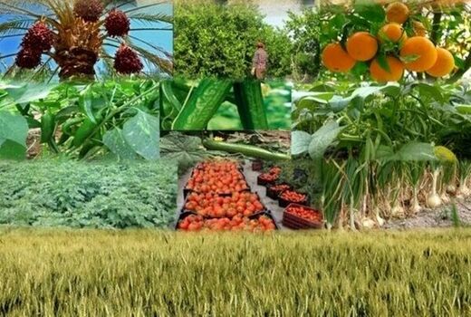 بهره‌برداری از ۲۱ پروژه کشاورزی سرایان در هفته جهادکشاورزی
