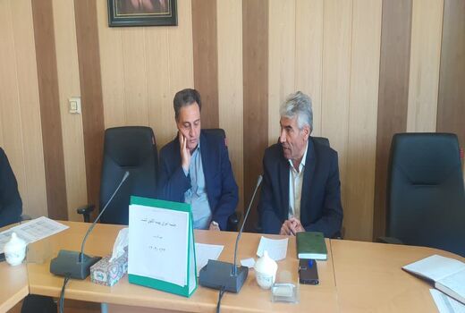 الگوی کشت بهینه در تبریز؛ ۱۴۰۰ هکتار مزارع کلزا در انتظار همکاری نهادها برای رفع موانع آبی