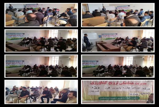 آشنایی با راه‌های مقابله با علف‌های هرز گندم و کلزا