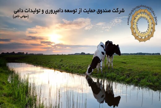 پنج همت اعتبار به صندوق توسعه دامپروری تخصیص می‌یابد