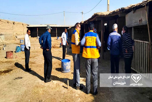 اجرای فاز اول طرح خدمت رسانی دامپزشکی در حوزه آبریز کرخه