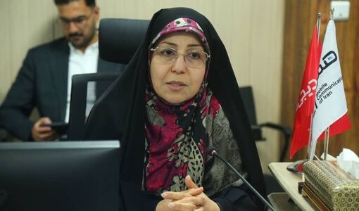 اتصال زنان روستایی و عشایری به بازارهای الکترونیکی، شرط دستیابی به اقتصاد پایدار است