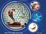 کنفرانس  بین‌المللی جانوران سمی و آنتی‌ونوم برگزار می‌شود