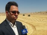 آغاز برداشت گندم از مزارع شهرستان اسلام آباد غرب 