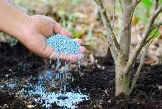 سهم استان یزد در خوکفایی تولید کود کشاورزی کشور