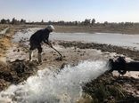 حق آبه برای همه کشاورزان سیستانی در نظر گرفته شده است 