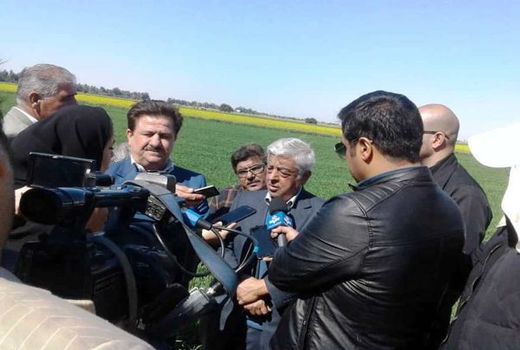 تولید 40 درصد شکر مورد نیاز کشور در خوزستان 