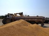 بارگیری 64 هزار تن جو وارداتی از بندر شهید بهشتی چابهار