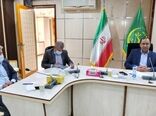 ارتزاق ۶۰۰ هزار نفر از جمعیت استان لرستان از بخش کشاورزی و دامپروری 