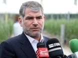 خرید تضمینی دام در استان سمنان سرعت می گیرد