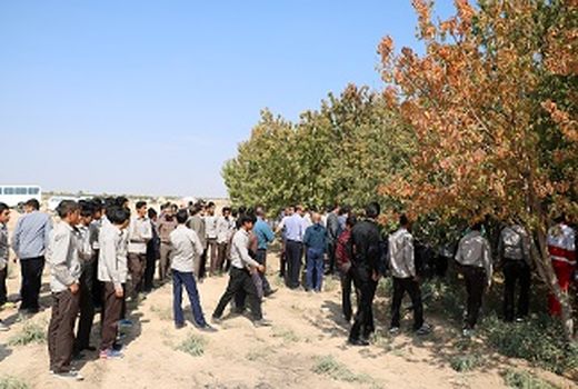 کارگاه آموزشی پیشگیری و مبارزه با آفت مگس مدیترانه ای در شهرستان بم برگزار شد