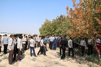 کارگاه آموزشی پیشگیری و مبارزه با آفت مگس مدیترانه ای در شهرستان بم برگزار شد