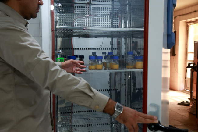   مرکز ملی ژنتیک دامی   