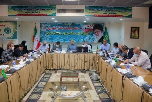 کنجد بهترین جایگزین کشت برنج در خشکسالی ها