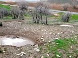 تغییر نگاه از کم‌بارانی به مدیریت بارش/ راهکارهای کم‌هزینه استحصال آب برای تقویت کشاورزی خوزستان