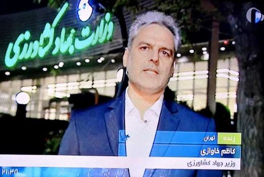 تولید 14 میلیون تن گندم در سال زراعی جاری