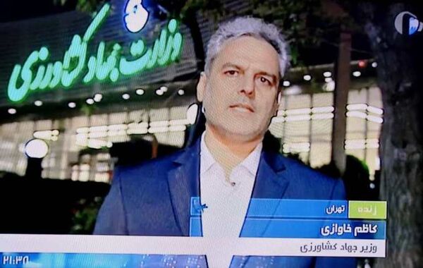 تولید 14 میلیون تن گندم در سال زراعی جاری