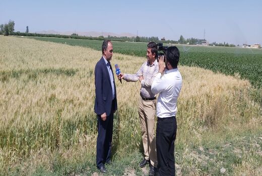 اجرای آبیاری‌ نوین در میاندوآب موجب صرفه‌جویی ۴۰ میلیون مترمکعبی آب شد 