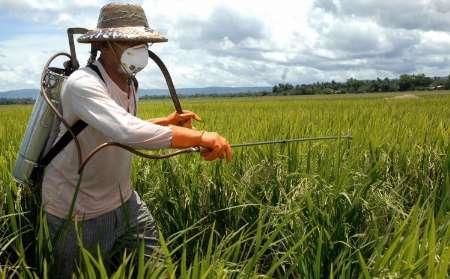 لزوم تشخیص آفت کش های تقلبی و قاچاق در هنگام خرید توسط کشاورزان