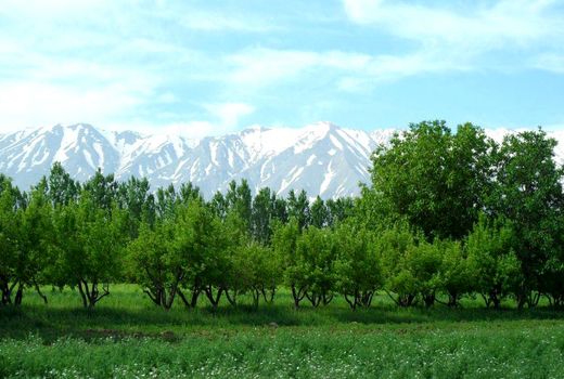 نهاوند در مسیر توسعه کشاورزی است