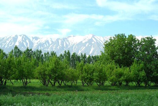 نهاوند در مسیر توسعه کشاورزی است