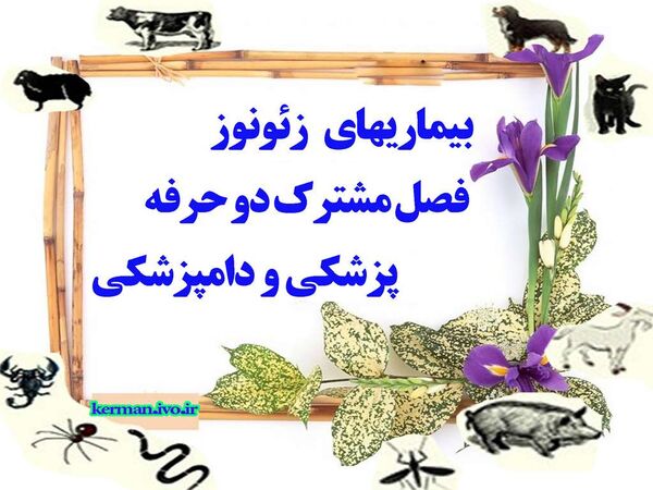 بیماری‌های زئونوز فصل مشترک دو حرفه پزشکی و دامپزشکی