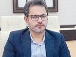 ۲۵۰ تن برنج دولتی در بوشهر توزیع می‌شود