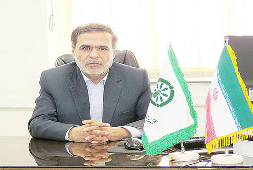 اجرای طرح پایلوت تغذیه گندم در استان همدان